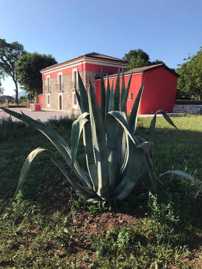 Agriturismo Dipinto Dal Sole Padula Bagian luar foto